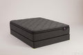 Graybrook Plush Euro Top 14" Mattress